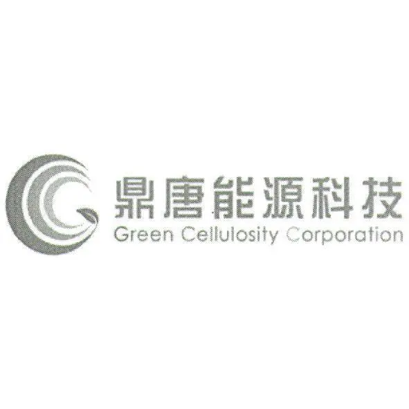 鼎唐能源科技股份有限公司